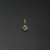 Star of Bethlehem photo a