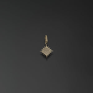 Star of Bethlehem photo b